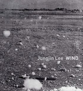 Jungjin Lee: Wind