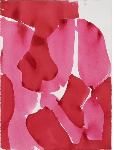 "Just having a body is a daily comedy." Amy Sillman: The ALL-OVER