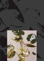 Kandis Williams: A Surface