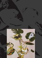 Kandis Williams: A Surface