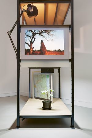 Kapwani Kiwanga: The Length of the Horizon