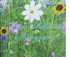 Karen Kilimnik: Photographs