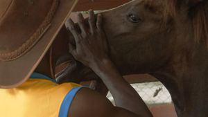 Karimah Ashadu: Tendered