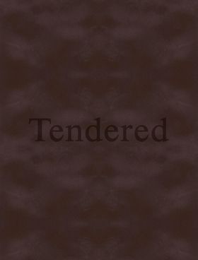 Karimah Ashadu: Tendered