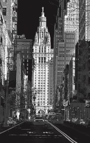 Karin Ferrari: Rooftop Temples of New York City