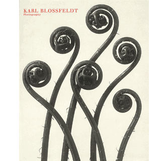 Karl Blossfeldt ARTBOOK | D.A.P. 1998 Catalog Books Exhibition