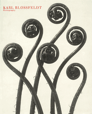 Karl Blossfeldt ARTBOOK | D.A.P. 1998 Catalog Books Exhibition