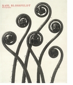 Karl Blossfeldt