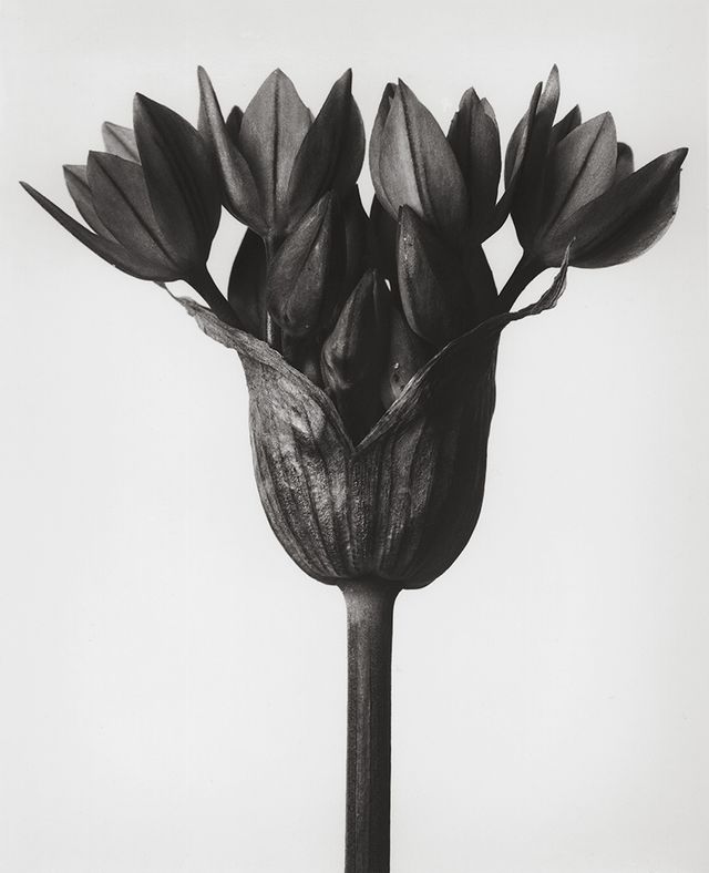 Happy Easter from ARTBOOK | D.A.P.!