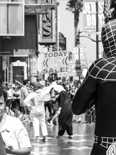 Kathryn Andrews: Strip - ARTBOOK|D.A.P.