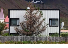 Katrn Elvarsdttir: Vanished Summer