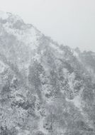 Keiko Sasaoka: Presence