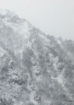 Keiko Sasaoka: Presence