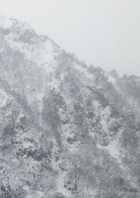 Keiko Sasaoka: Presence