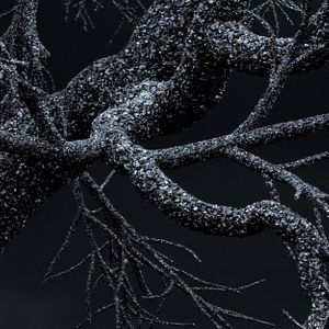 Kelly Richardson: Pillars of Dawn