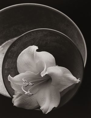 Kenro Izu: Seduction