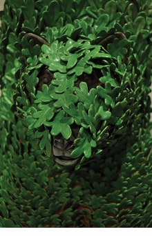 Kim Dickey: Words Are Leaves