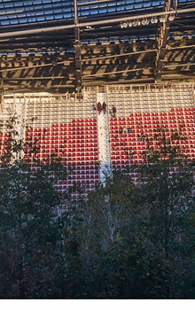 Klaus Littmann: Tree Connections