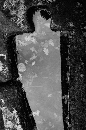 Laia Abril: Lobismuller