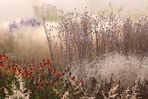 Landscape Works with Piet Oudolf and LOLA