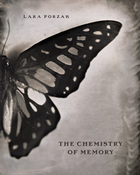 Lara Porzak: The Chemistry of Memory