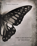 Lara Porzak: The Chemistry of Memory