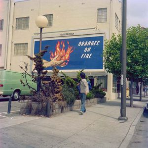 Larry Sultan & Mike Mandel