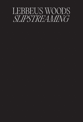 Lebbeus Woods: Slipstreaming