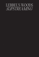 Lebbeus Woods: Slipstreaming