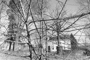 Lee Friedlander: Real Estate