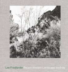 Lee Friedlander: Recent Western Landscape 2008-09