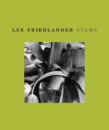 Lee Friedlander 作品集 Friedlander: The Museum of Modern Art – Kominek
