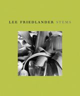 Lee Friedlander: Stems