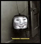 Lee Friedlander: The Little Screens