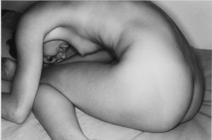 Lee Friedlander The Nudes
