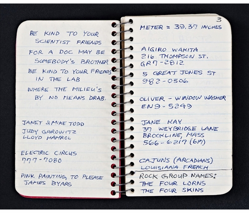 Lee Lozano: Private Book 1