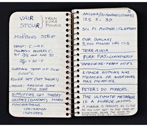 Lee Lozano: Private Book 1