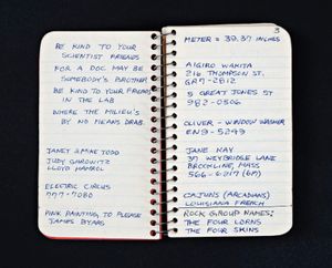 Lee Lozano: Private Book 1