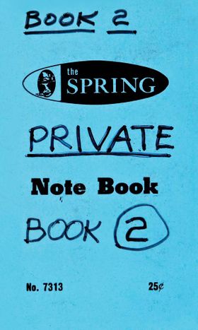Lee Lozano: Private Book 2