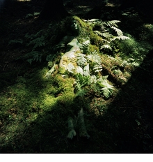 Lehndorff & Trlzsch: The Seen and the Unseen