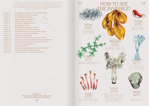 Let's Become Fungal!