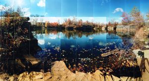 Life on Earth: Art & Ecofeminism