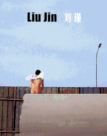 Liu Jin