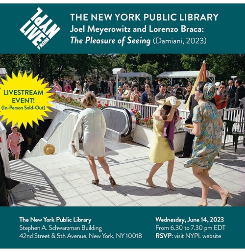 LIVE from NYPL Livestream: Joel Meyerowitz with Lorenzo Braca on 'The Pleasure of Seeing'