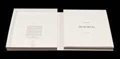 Luc Tuymans: Dead Skull