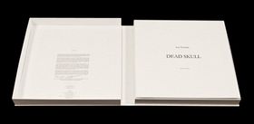 Luc Tuymans: Dead Skull
