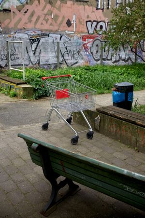 Luca Ellena: Einkaufswagen