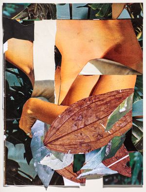 Lucia Veronesi: The Extinct Desinence