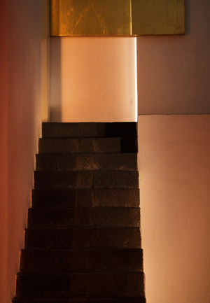 Luis Barragán: His Library