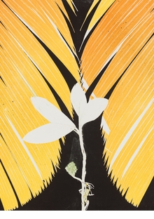 Luiz Zerbini: Botanica